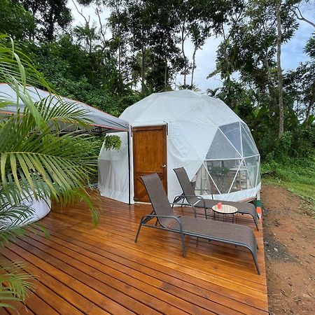 La Comarca River Glamping Dome Near Manuel Antonio Kültér fotó