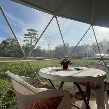 La Comarca River Glamping Dome Near Manuel Antonio Kültér fotó