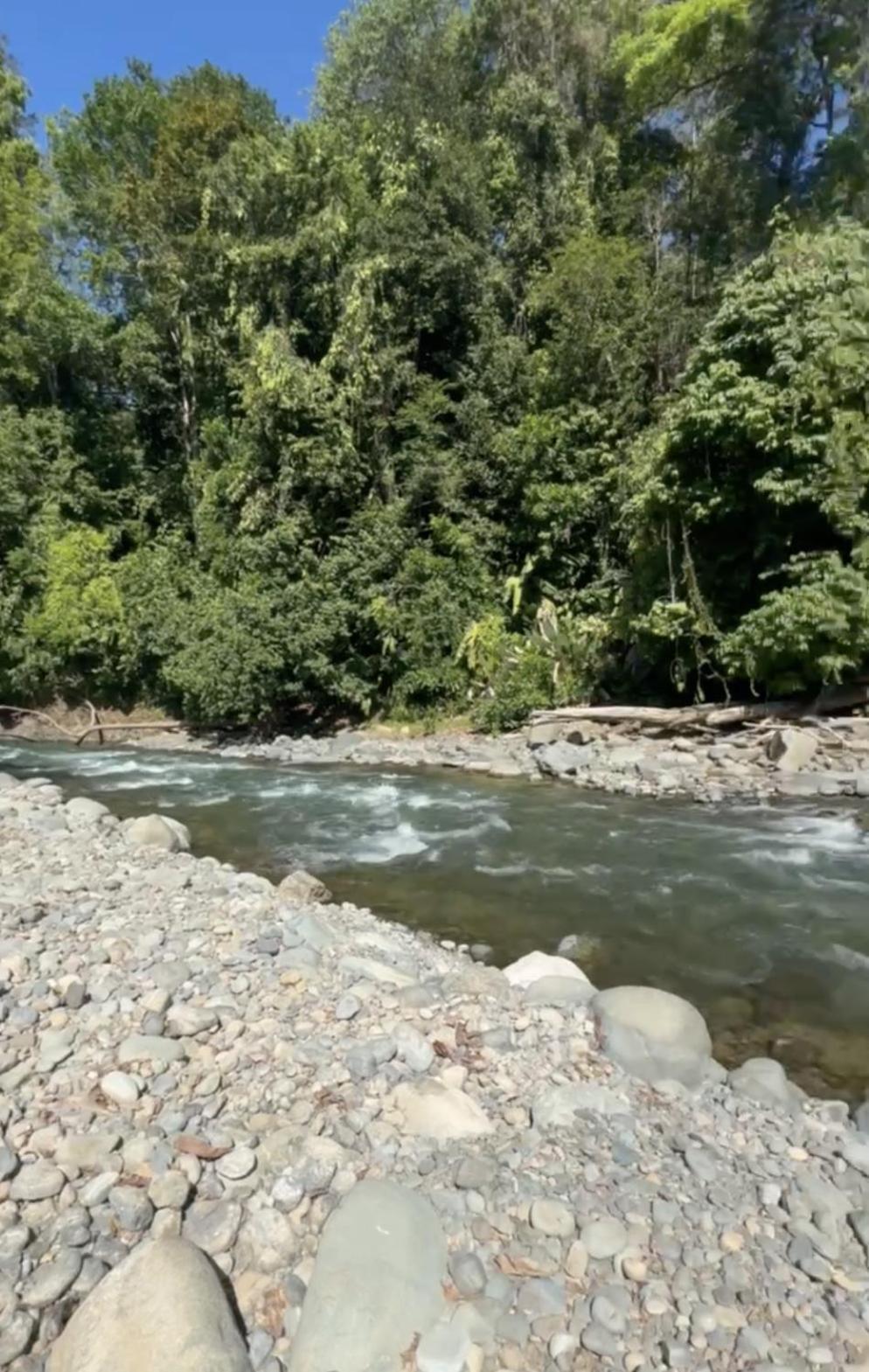 La Comarca River Glamping Dome Near Manuel Antonio Kültér fotó