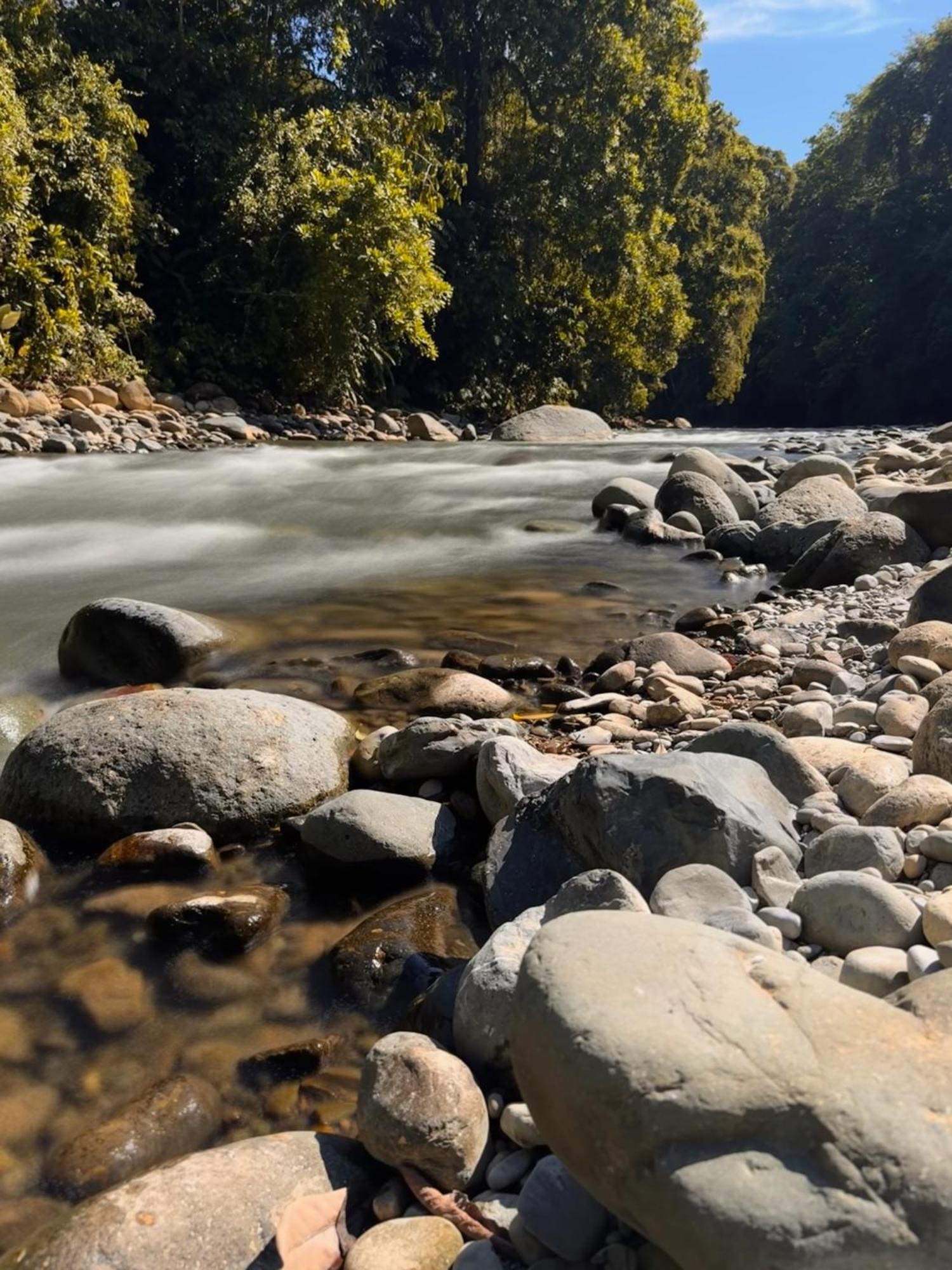 La Comarca River Glamping Dome Near Manuel Antonio Kültér fotó